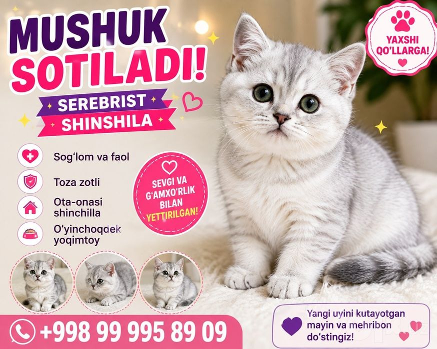 Mushuk sotiladi.