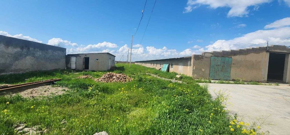 Ферма 10 Га по трассе Самарканд Карши