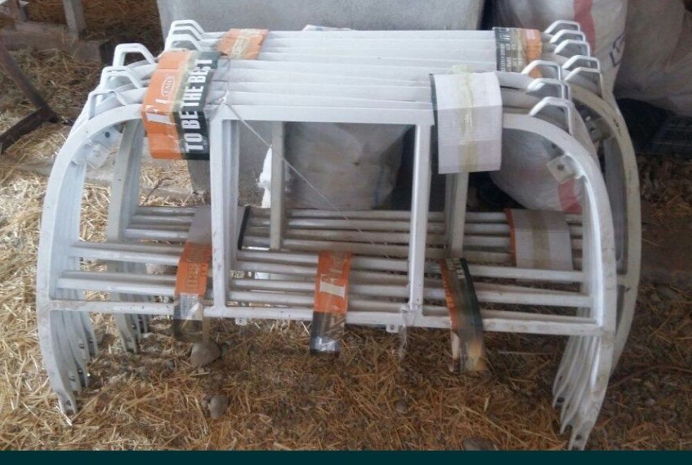 XORAZM labo duga yangi