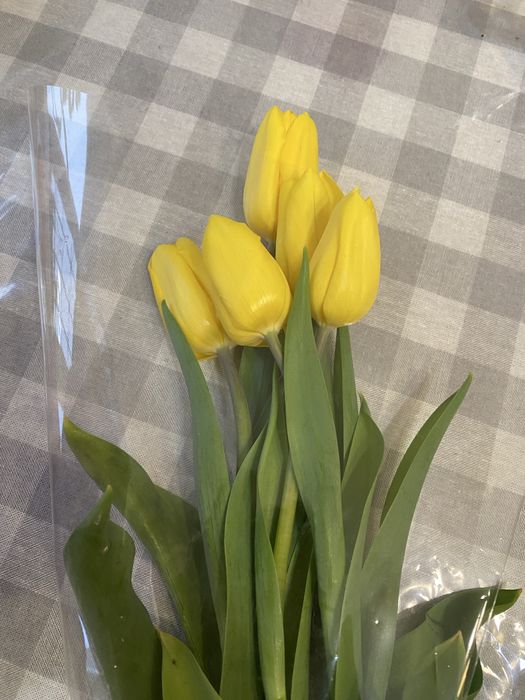 Тюльпаны желтые