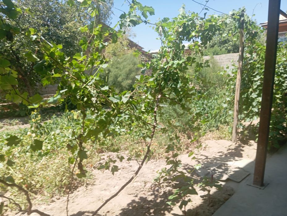 1 сотиги 12000$ 3 сотик яна келишамиз