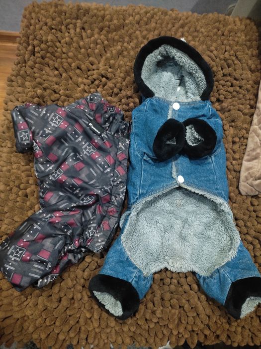 Комбинезоны для собаки