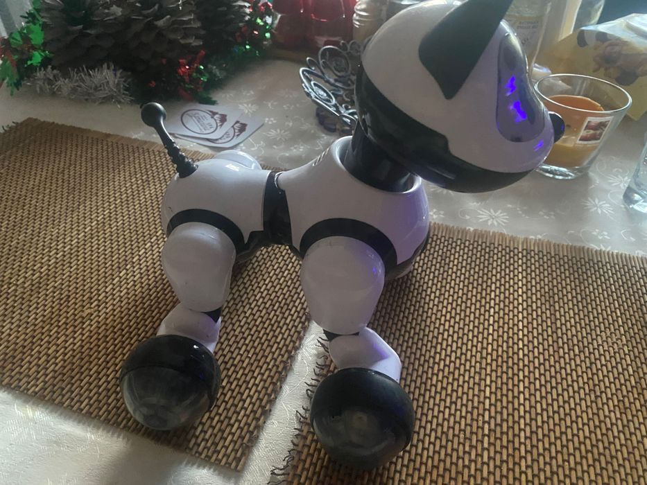 Интер активно куче с дистанционно