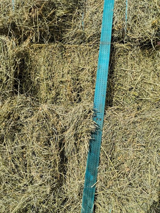 Vând baloti de lucernă