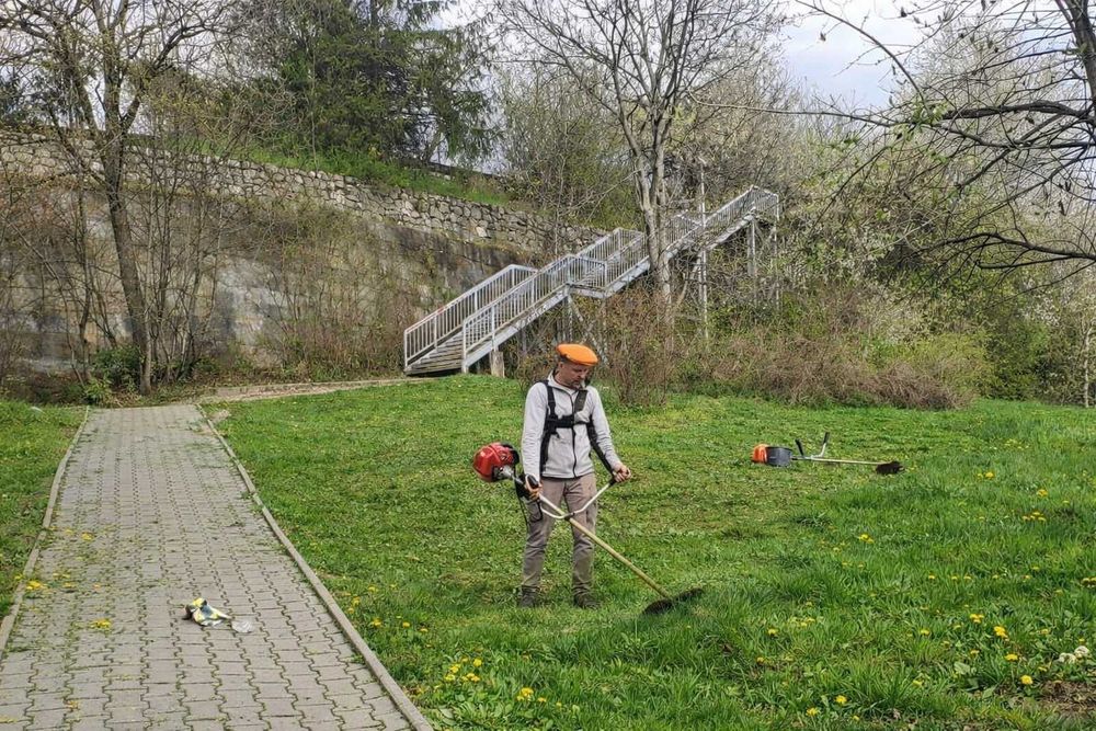 Servicii de Gradinarit, Tuns Gazon, Cosire, Curățare Curți – Servicii PF și Firme