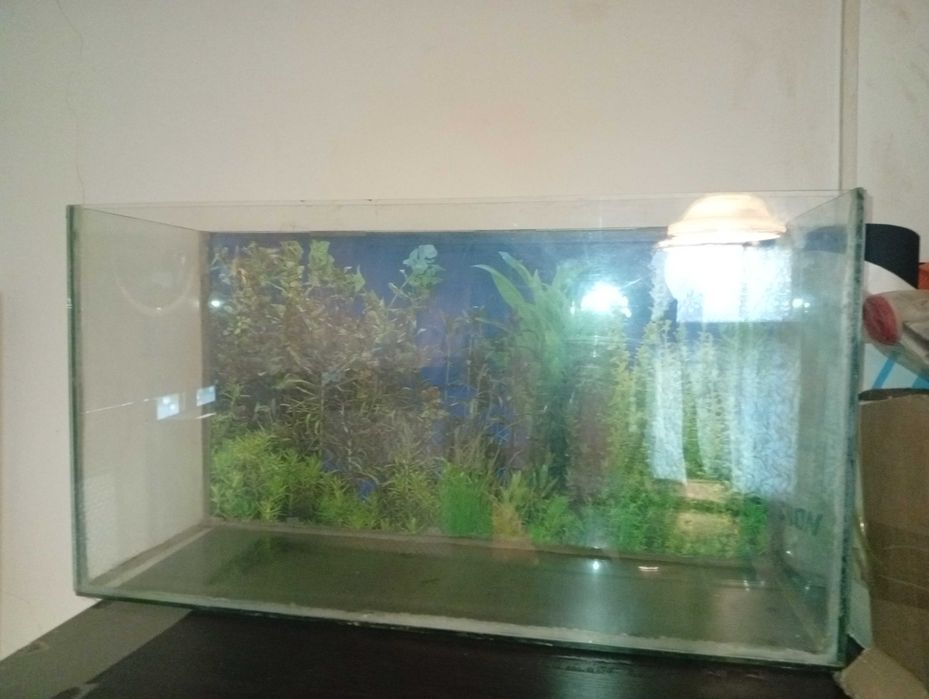 Acvariu 60 de litri