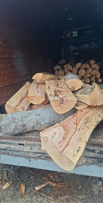 Vand lemne de brad si de fag in judetul suceava