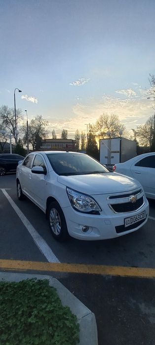 Cobalt 2024 42ming toza