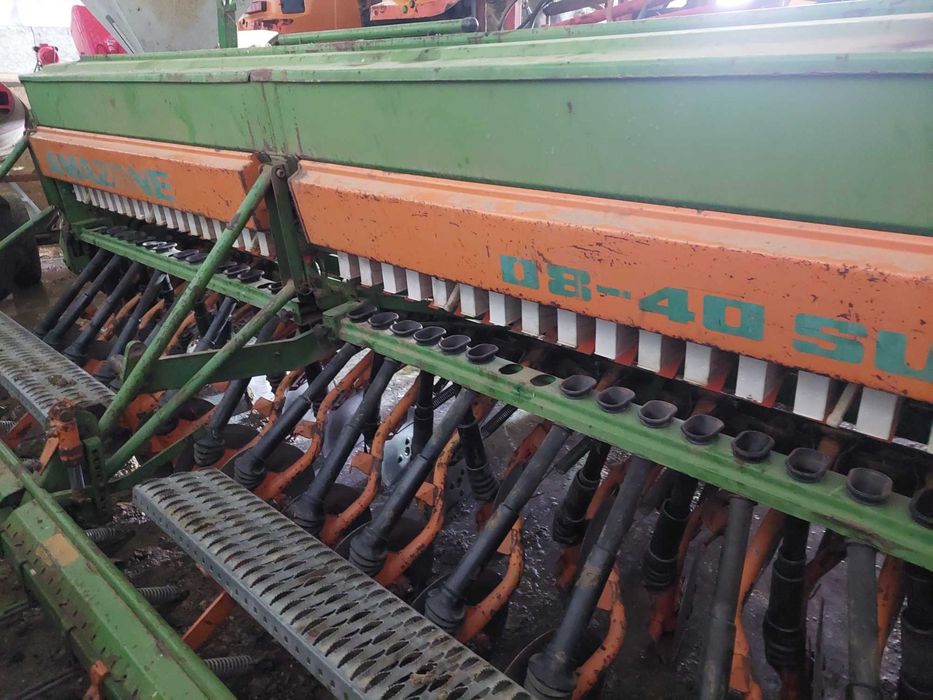 Semanatoare paioase Amazone