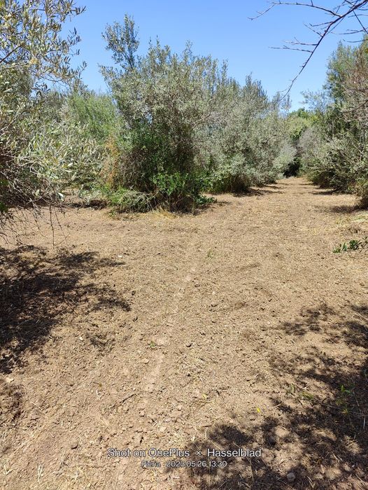 Продава се Парцел в София, ПЗ Хладилника - 2437 кв.м за 29 €/кв.м - Снимка #2