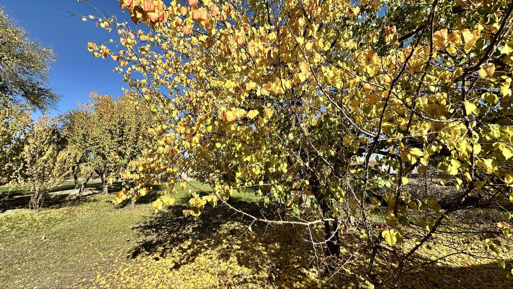 Участок, Ховли, Участка,