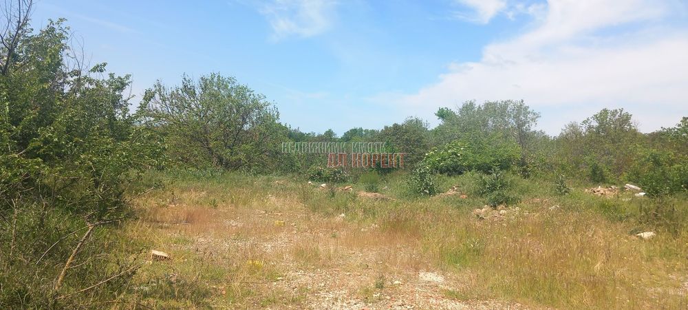 Продава се Парцел в с. Кривня, Област Варна - 2620 кв.м за 10 €/кв.м - Снимка #3