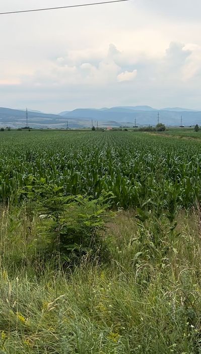 Teren intravilan 22800 mp - Orastie