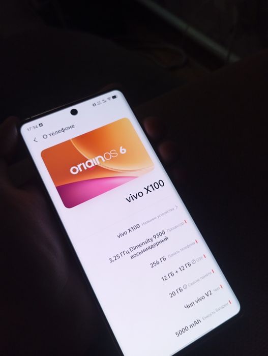 Vivo x100 7.5/10 состояние