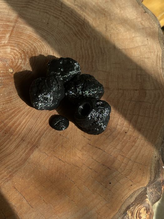 Тренировъчна пластмасова играчка “Трюфел” за кучета