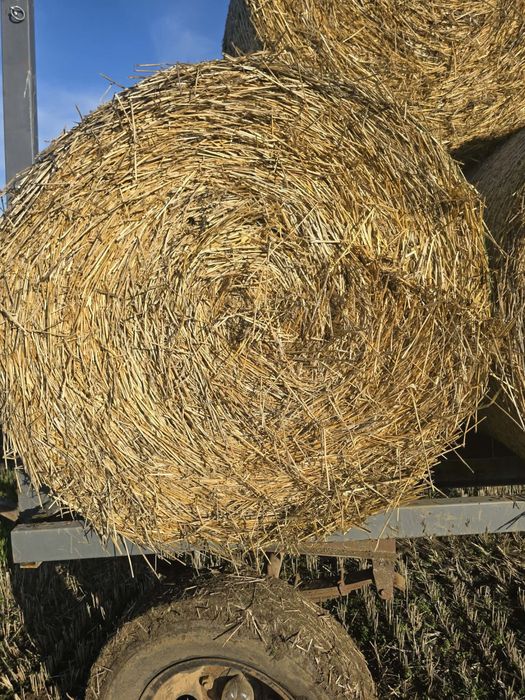 Житна слама 135/120