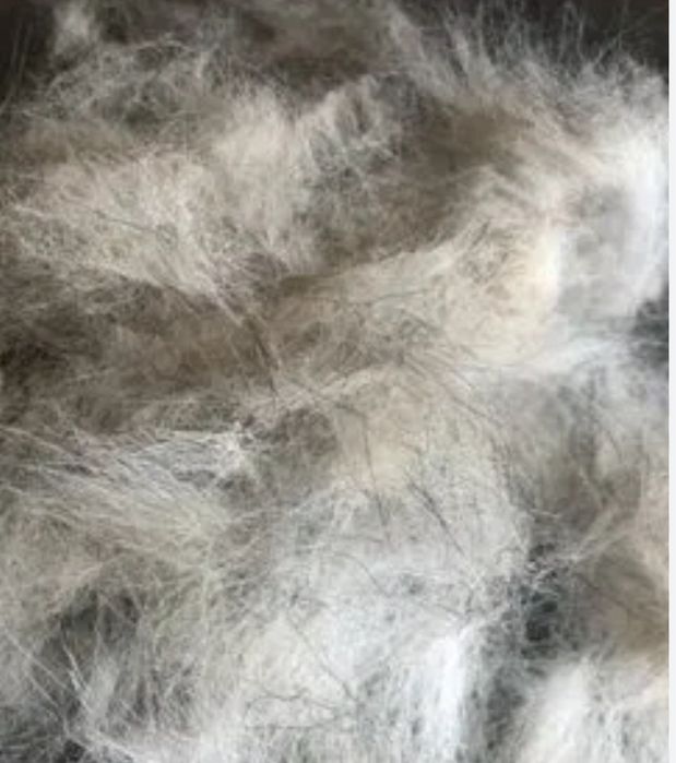 Продам собачий шерсть