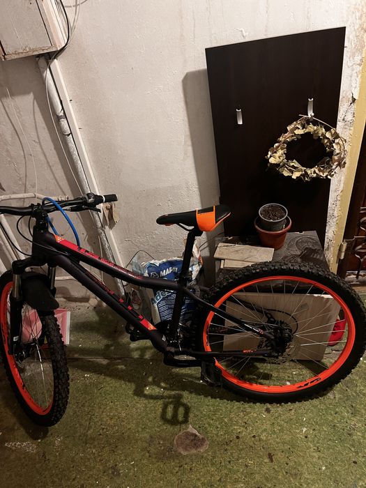 Cross Rebel 2021