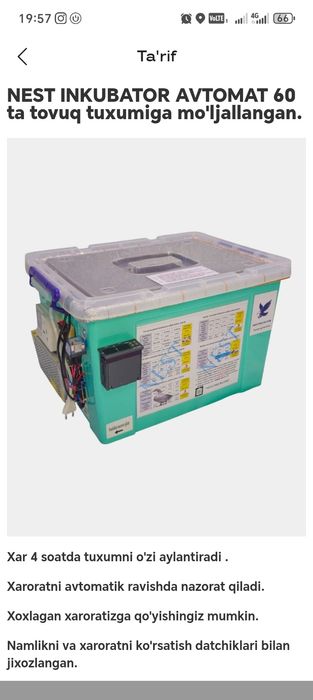 Inkubator 60 ta tuxum sigadi