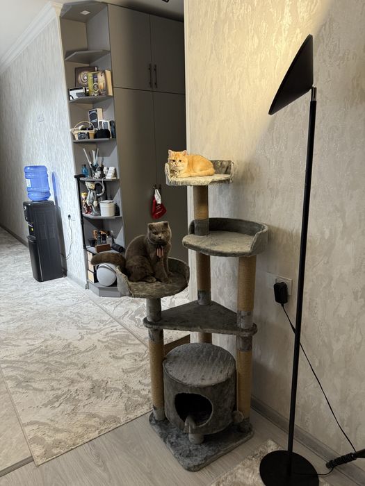 Игровой комплекс для кошек