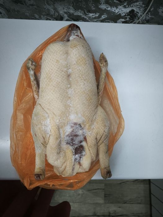 Продам мясо гуся,уток