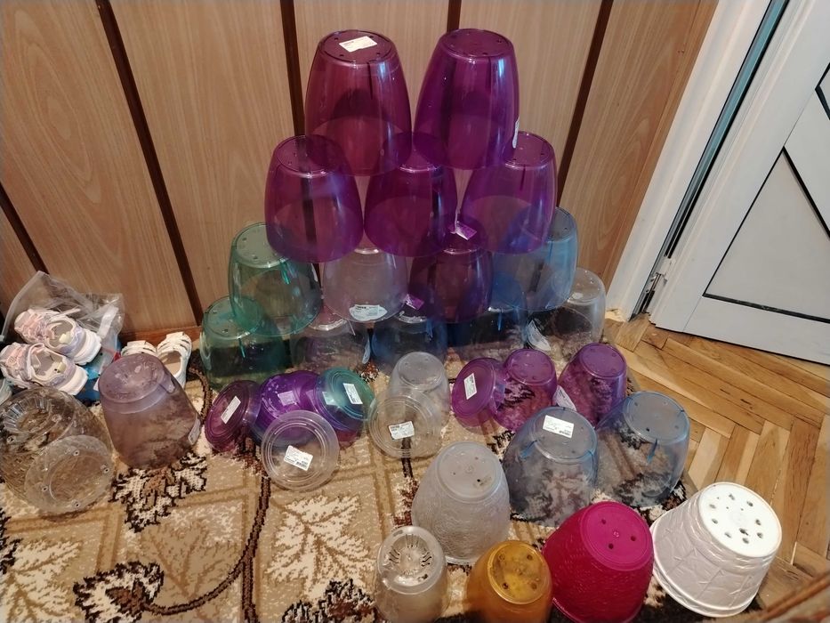 Саксии за орхидеи