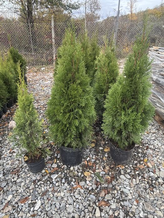 Depozit Piatră Naturala