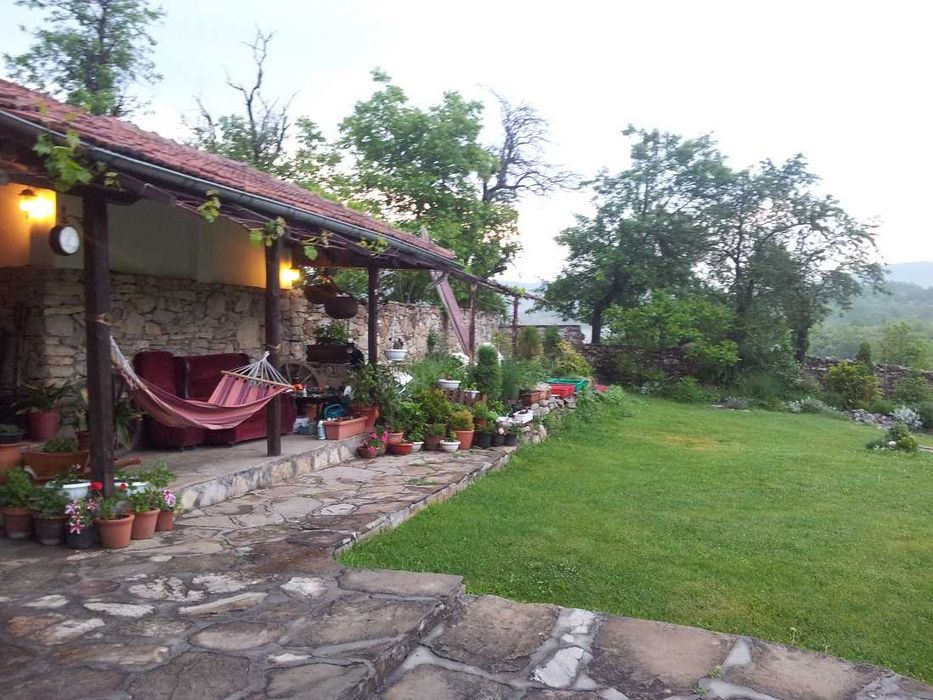 Косене на трева и поддръжка на дворове в София – бързо и качествено