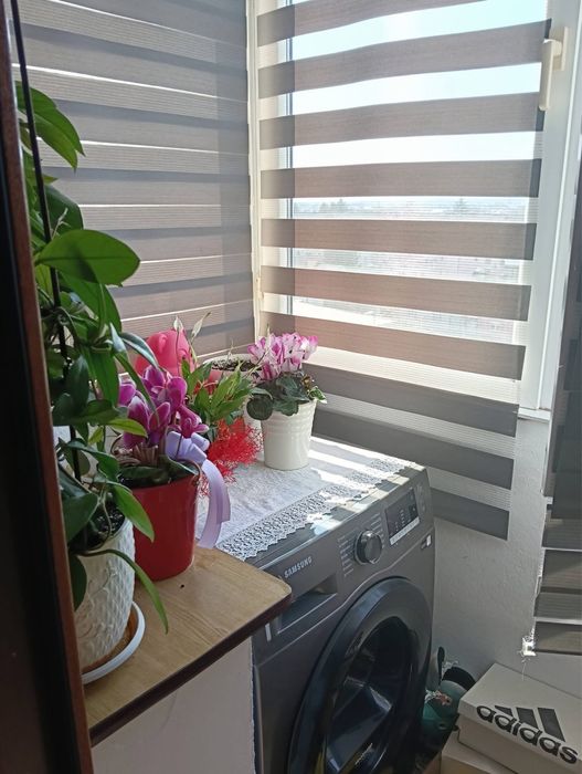 apartament 2 camere arad