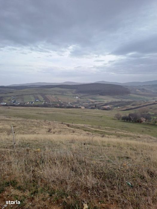 Teren extravilan la limita cu intravilanul 14 ha RECEA MICA