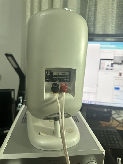 Boxe Bowers Wilkins LM1