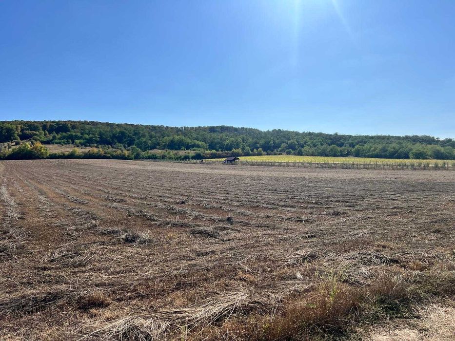 Teren de vanzare - Comuna Podenii Noi