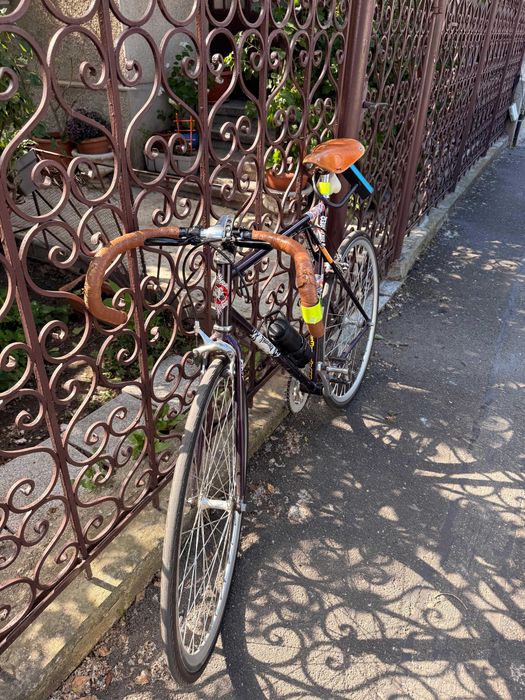 Bicicleta Pegas Clasic