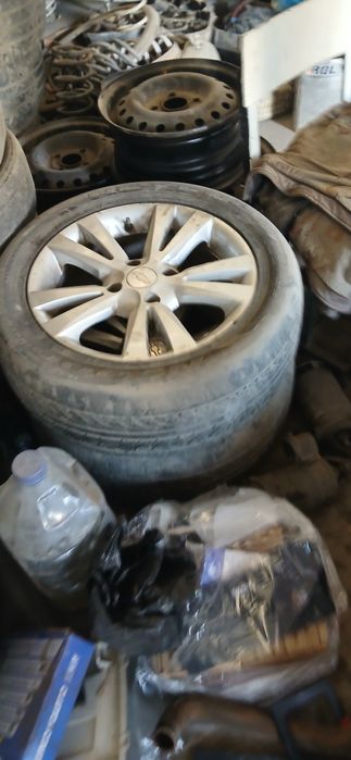 16 сака диска балони билан