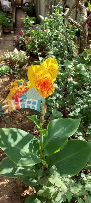 Вила в Варна-м-т Боровец - юг площ 60 цена 118900