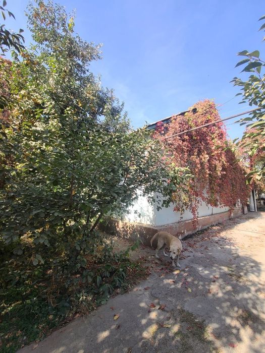 Продаётся Дом В Саларе возле БозСув 7.32 сотка