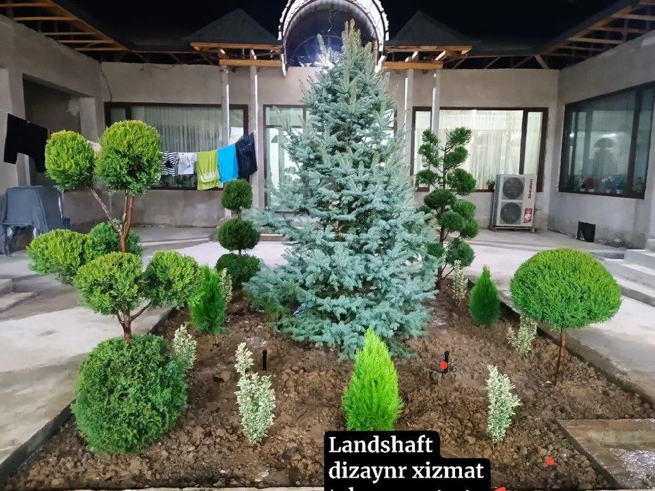 Sadivnik landshaft dizayni