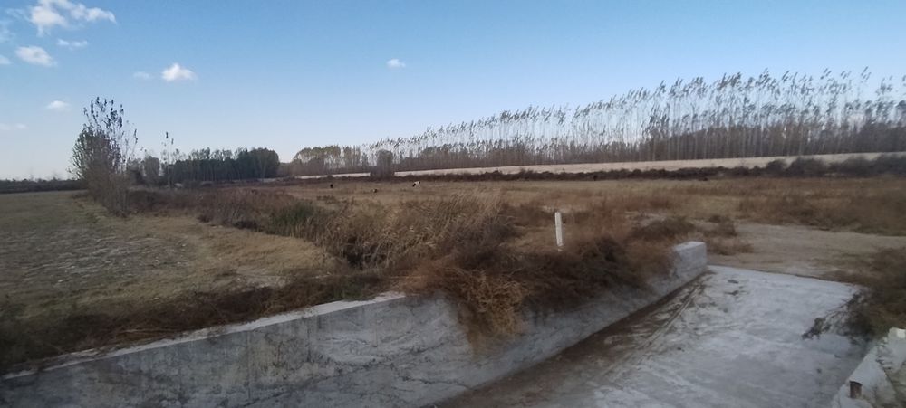 Фаргона вилояти Тошлок туманида жойлашган молхона бино иншоатлари