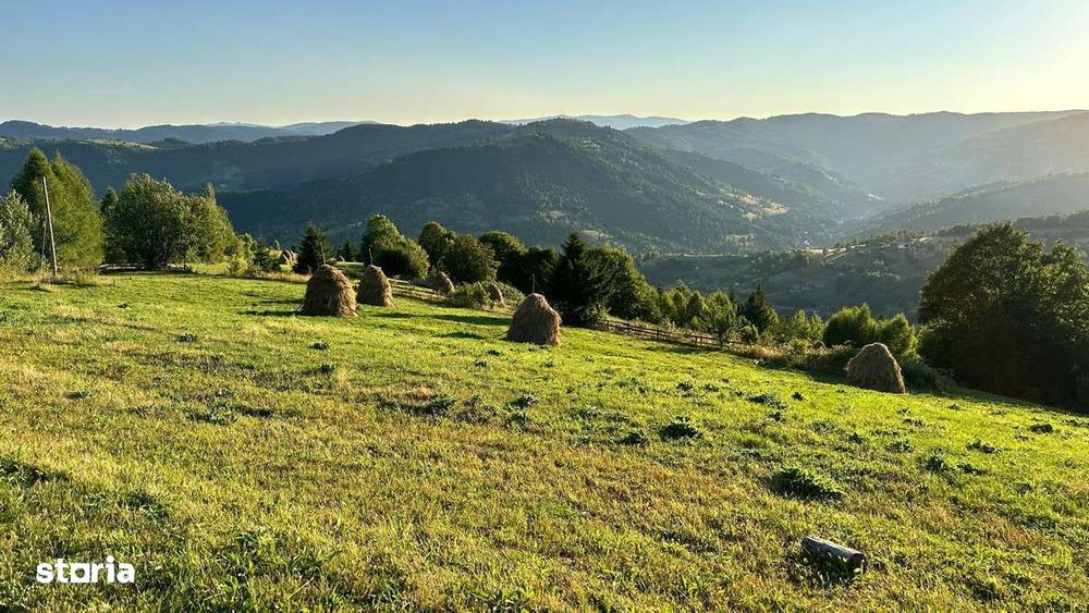 Teren Comuna Horea 17278m2. Apuseni