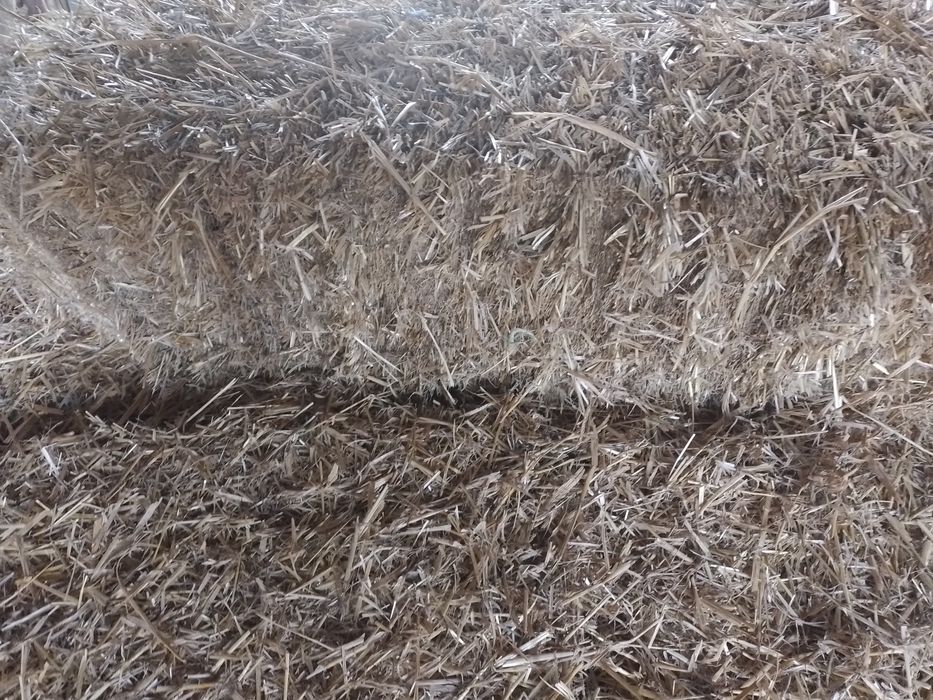 Vând baloti de paie de orzoaica