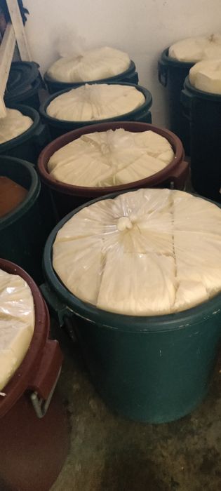 Vând brânză de oaie