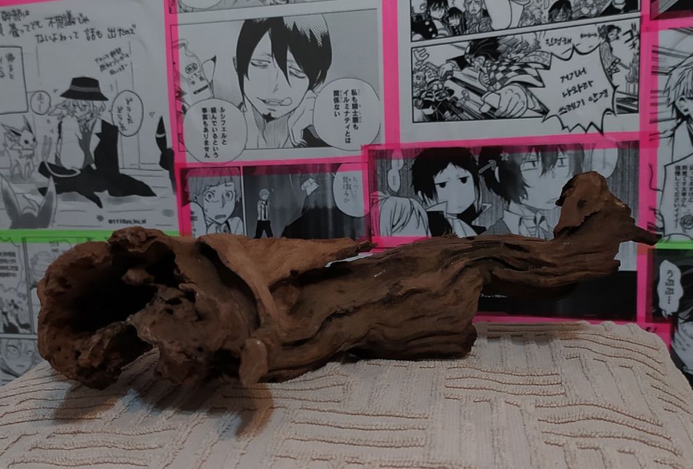 Террариум для пауков.