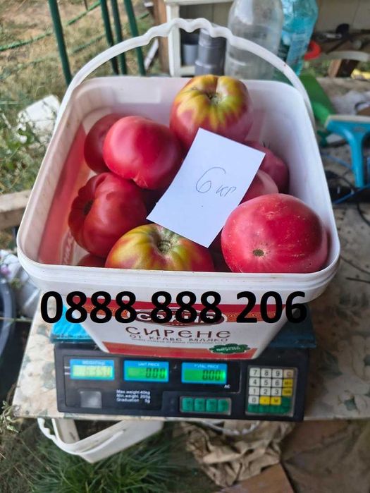 Продавам вкусни домати.