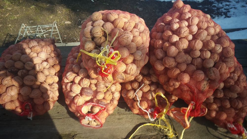 продам орехи грецкие домашние.