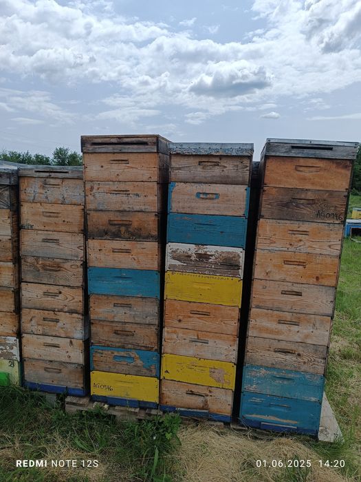 Albine ,cutii stupi ,inventar apicol,caturi,rame