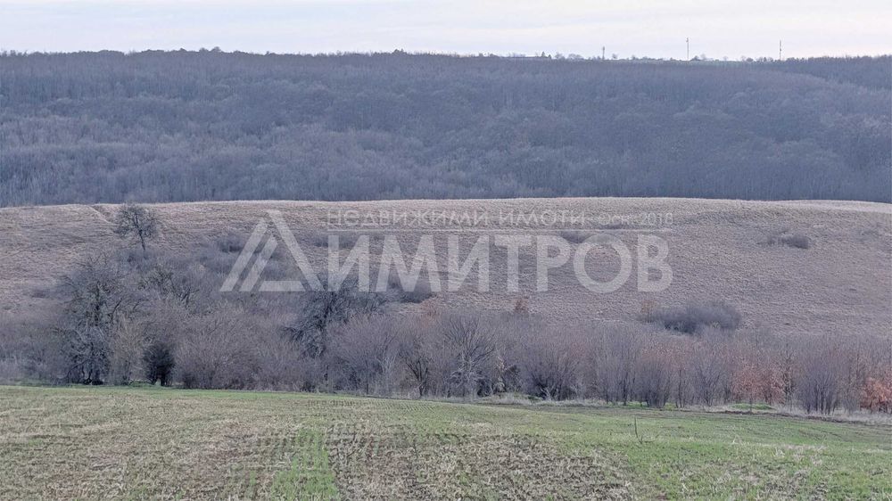 Продава парцел 5 дка в регулация между селата Мировци и Писарево.