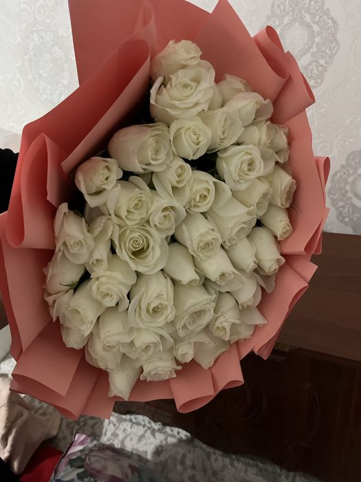 Белые розы, 51 штук