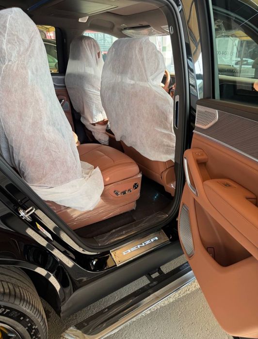 Denza N9 restayling full 2025