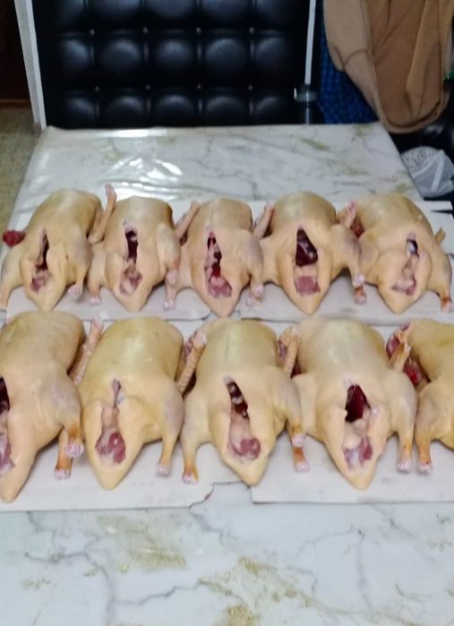Продам домашних уток.