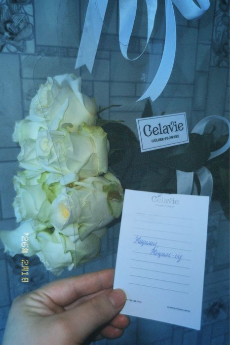 Цветы розы.